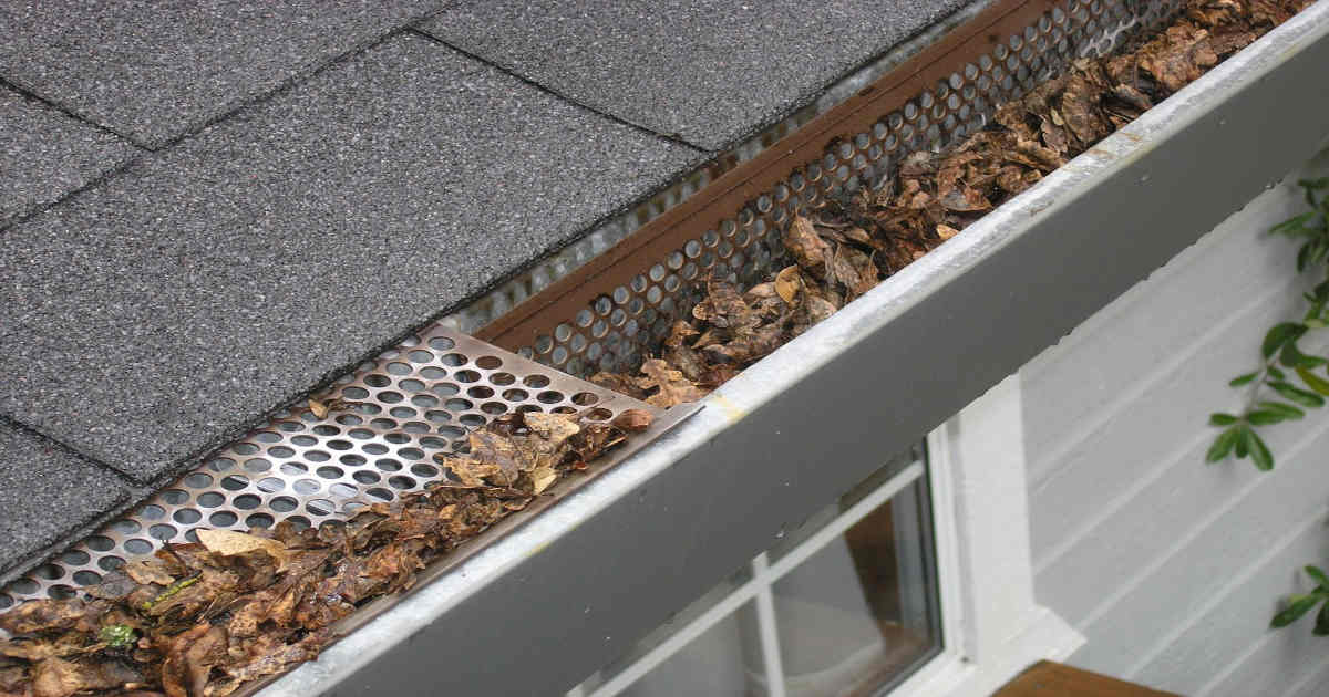 Clogged gutters
